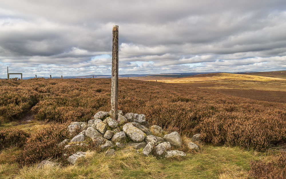 Whitley Pike